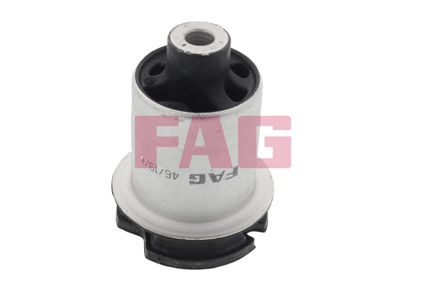 Suport, ax puntea spate (829048210 FAG) AUDI