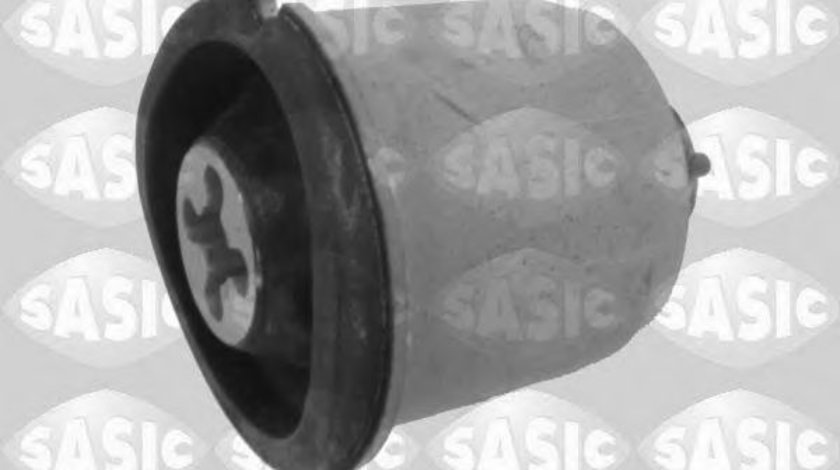 Suport, ax RENAULT MEGANE II (BM0/1, CM0/1) (2002 - 2011) SASIC 2604005 piesa NOUA