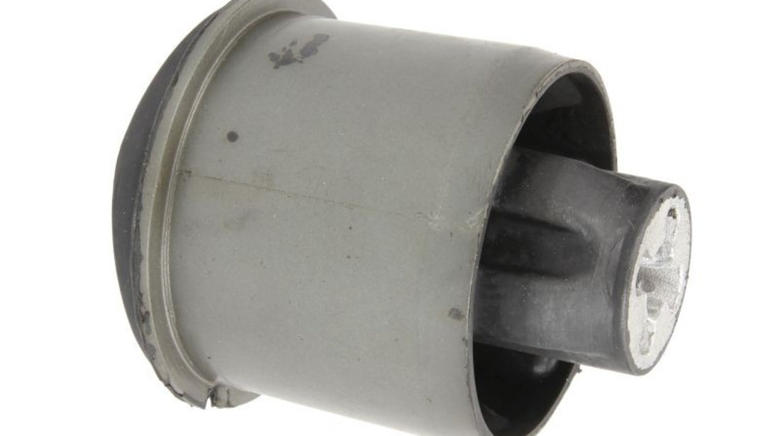 Suport, ax RENAULT MEGANE II (BM0/1, CM0/1) (2002 - 2011) REINHOCH RH20-2019 piesa NOUA