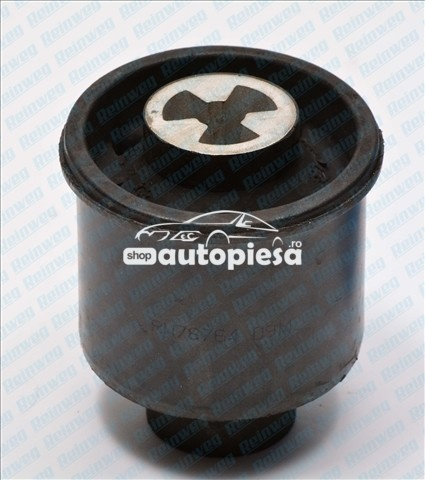 Suport, ax SEAT LEON (1M1) (1999 - 2006) REINWEG RW78764 piesa NOUA