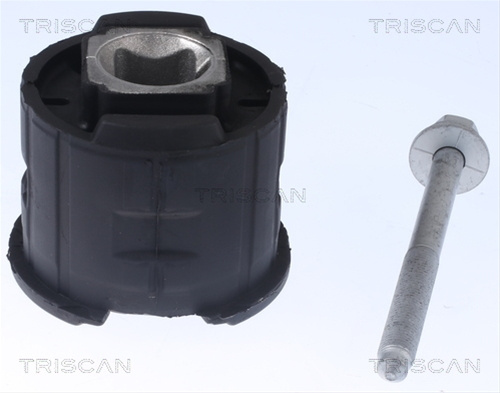 Suport Ax Triscan Bmw 8500 118022