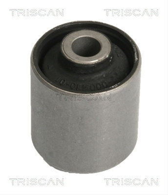 Suport, Ax Triscan Fiat 8500 10810