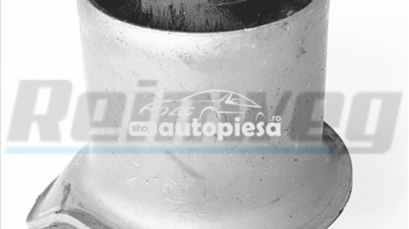 Suport, ax VW GOLF III Cabriolet (1E7) (1993 - 1998) REINWEG RW89778 piesa NOUA