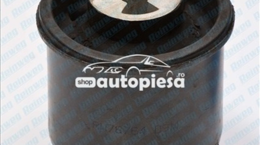 Suport, ax VW NEW BEETLE (9C1, 1C1) (1998 - 2010) REINWEG RW78764 piesa NOUA