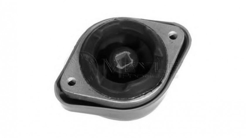 Suport cutie viteze Audi AUDI A6 Avant (4F5, C6) 2005-2011 #2 09046