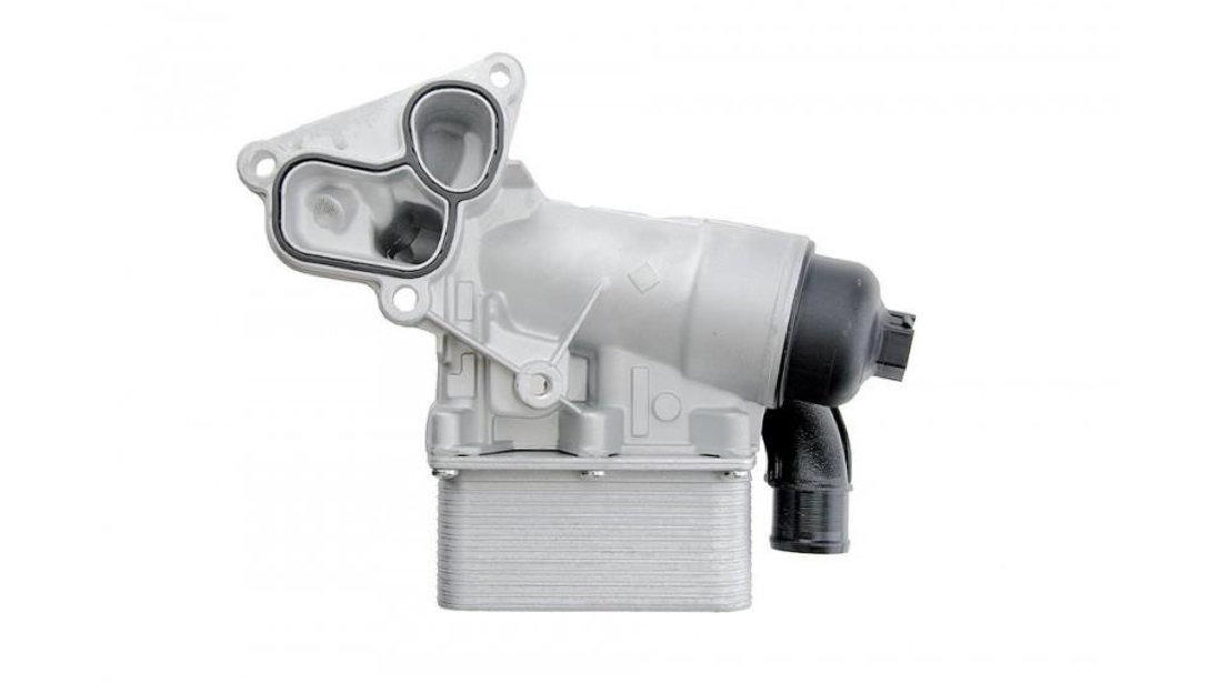 Suport filtru ulei + radiator ulei Renault Master III (2010->)[FV,JV,EV,HV,UV] #1