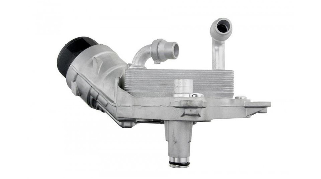 Suport filtru ulei + termoflot Fiat Doblo (2009->) [263] #1 55236754