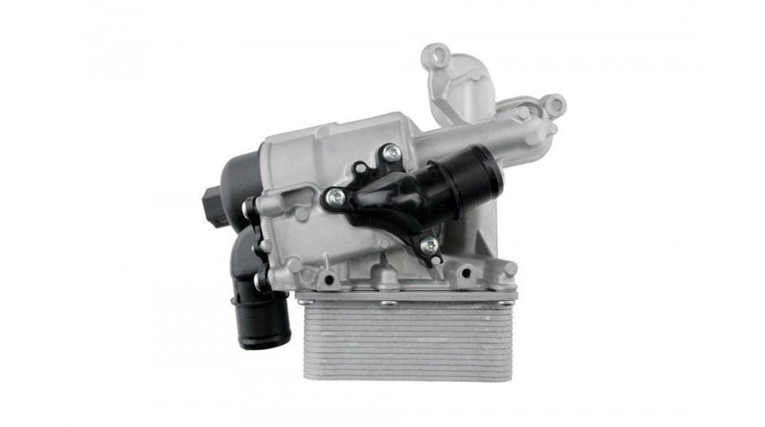 Suport filtru ulei + termoflot Renault Laguna II (2001->)[BG0/1_,KG0/1_] #1 8200781898