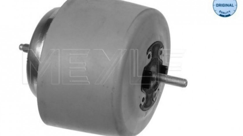 Suport motor Audi AUDI A4 Avant (8E5, B6) 2001-2004 #2 1001990084