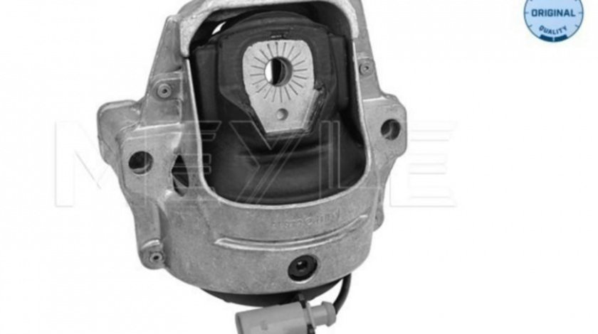 Suport motor Audi AUDI A6 Avant (4F5, C6) 2005-2011 #2 1001991003