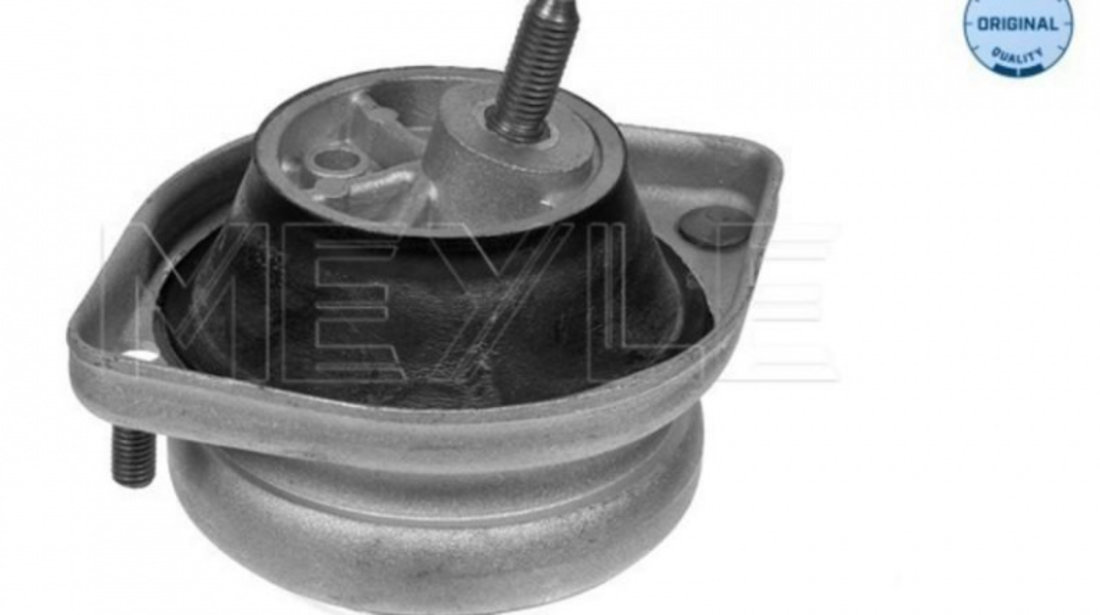 Suport motor BMW 5 Touring (E39) 1997-2004 #2 08783