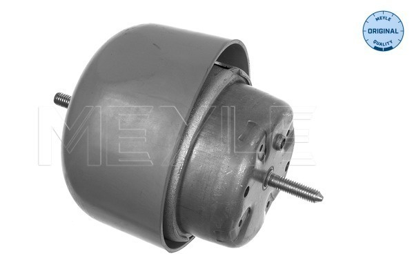 Suport motor fata dreapta (1001990048 MEYLE) AUDI,SKODA,VW