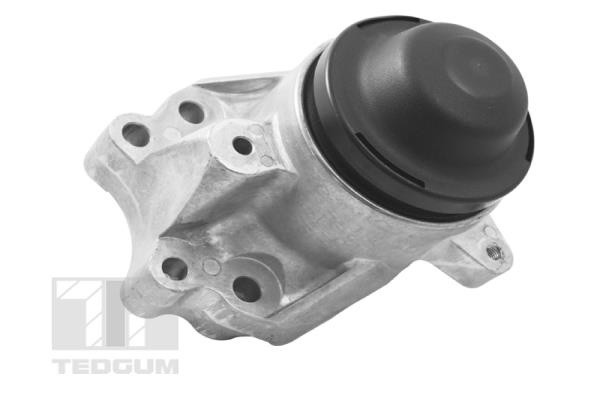 Suport motor fata dreapta (TED17586 TED) MAZDA