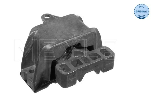 Suport motor fata stanga (1001990053 MEYLE) AUDI,SEAT,SKODA,VW