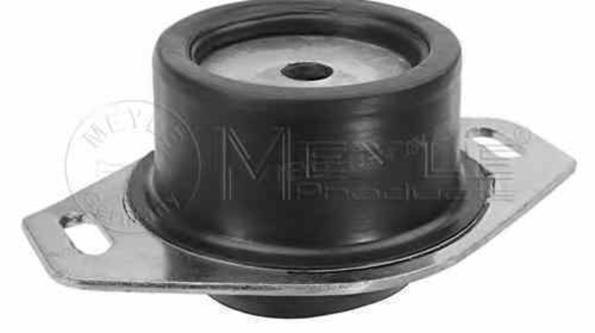 Suport motor FIAT SCUDO Combinato 220P MEYLE 11-14 184 0024