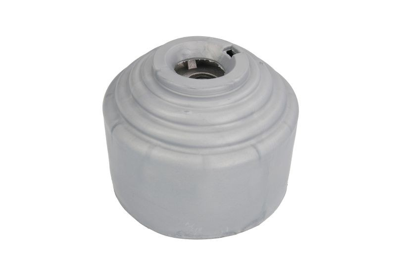 Suport motor MERCEDES C-CLASS Sportscoupe (CL203) (2001 - 2011) REINHOCH RH11-3044 piesa NOUA