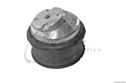 Suport motor MERCEDES C-CLASS (W203) (2000 - 2007) TRUCKTEC AUTOMOTIVE 02.22.076 piesa NOUA