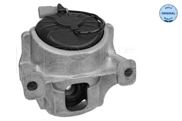 Suport Motor Meyle Audi 100 199 1005