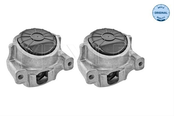 Suport Motor Meyle Audi 100 199 1401/S