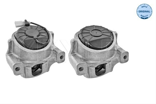 Suport Motor Meyle Audi 100 199 1402/S