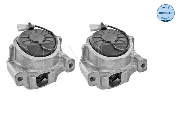 Suport Motor Meyle Audi 100 199 1404/S