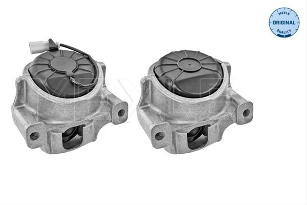 Suport Motor Meyle Audi 100 199 1406/S