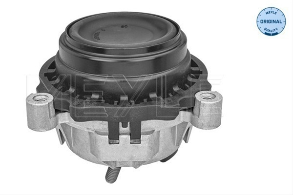 Suport Motor Meyle Bmw (Brilliance) 300 221 2121