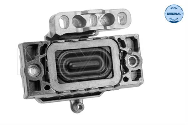 Suport Motor Meyle Vw 100 199 0113