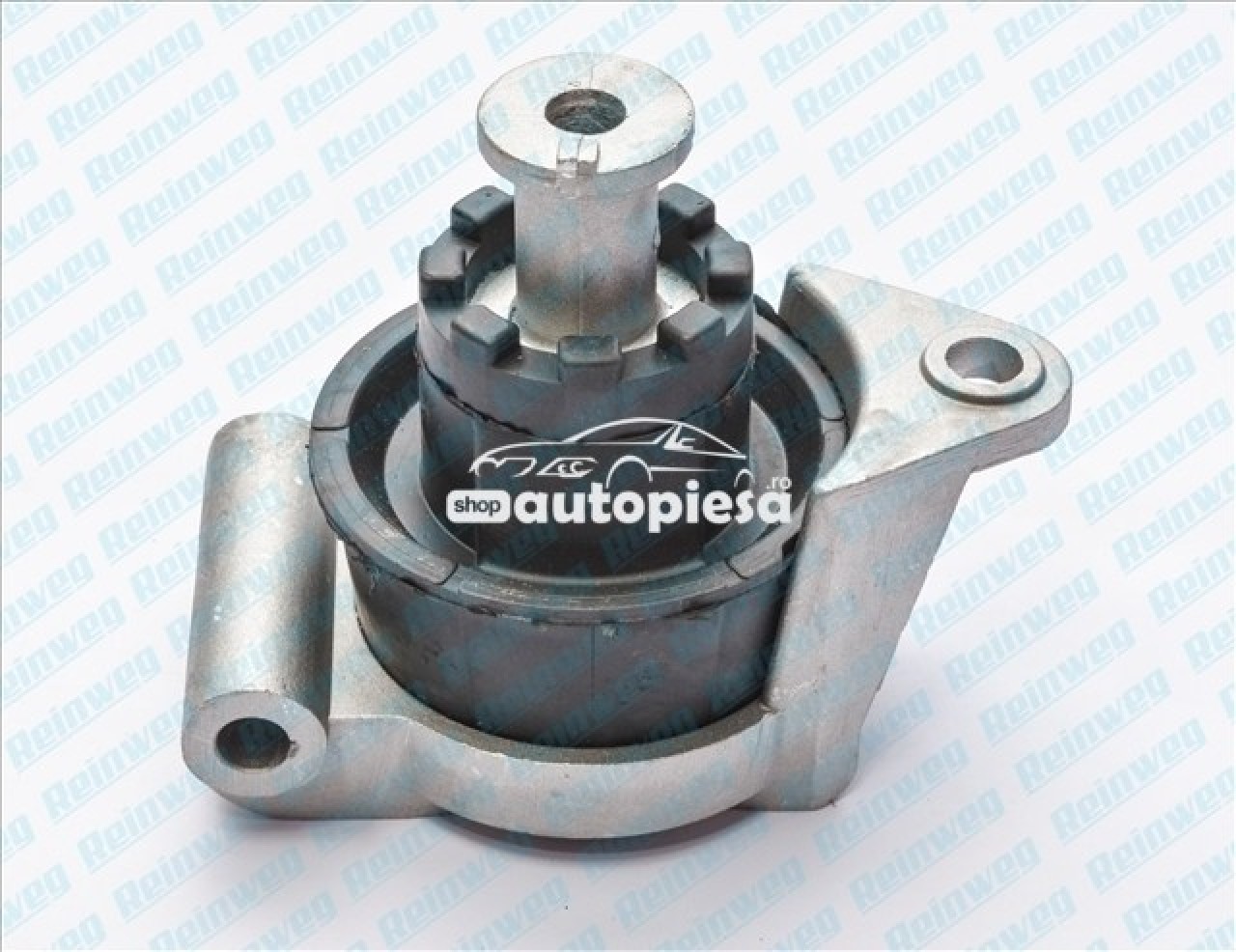 Suport motor OPEL ASTRA G Cupe (F07) (2000 - 2005) REINWEG RW74625 piesa NOUA