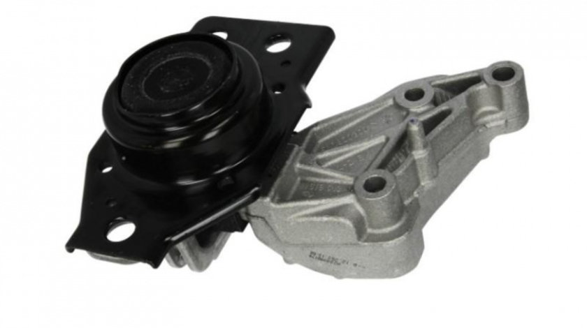 Suport motor Renault MEGANE II (BM0/1_, CM0/1_) 2002-2011 #2 05650