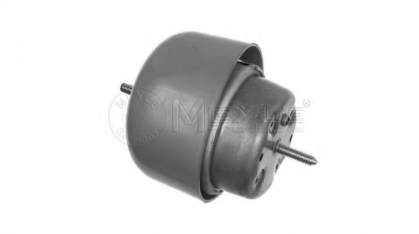 Suport motor Skoda SUPERB (3U4) 2001-2008 #2 1001990048