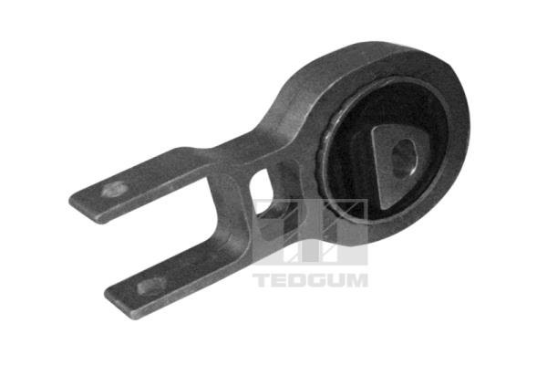 Suport motor spate (00219531 TED) FIAT