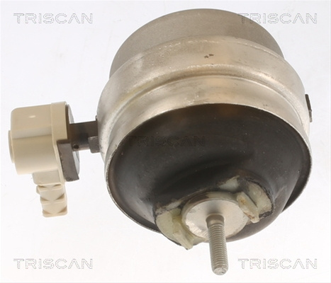 Suport Motor Triscan Audi 8505 29111