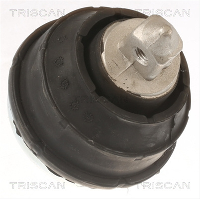 Suport Motor Triscan Bmw 8505 11102