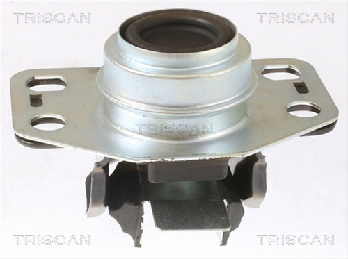 Suport Motor Triscan Dacia 8505 25107