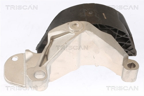 Suport Motor Triscan Dacia 8505 25115