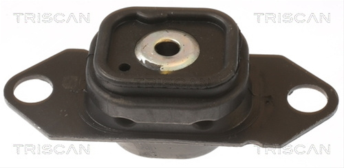 Suport Motor Triscan Nissan 8505 10202