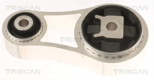 Suport Motor Triscan Opel 8505 10106