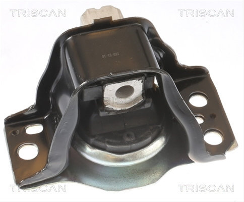 Suport Motor Triscan Renault 8505 25102