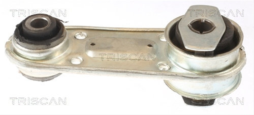 Suport Motor Triscan Renault 8505 25109