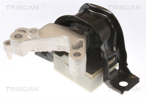 Suport Motor Triscan Renault 8505 25124