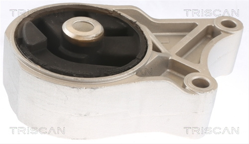 Suport Motor Triscan Vauxhall 8505 10110