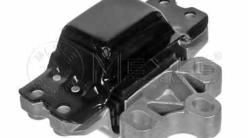 Suport motor VW CADDY III combi 2KB 2KJ 2CB 2CJ MEYLE 100 199 0095
