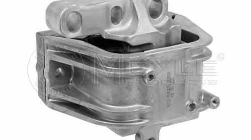 Suport motor VW PASSAT CC 357 MEYLE 100 199 0113