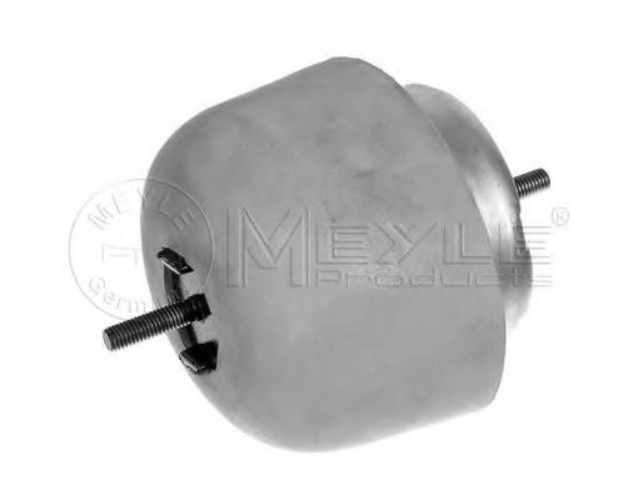Suport motor VW PASSAT Variant (3B5) (1997 - 2001) MEYLE 100 199 0056 piesa NOUA