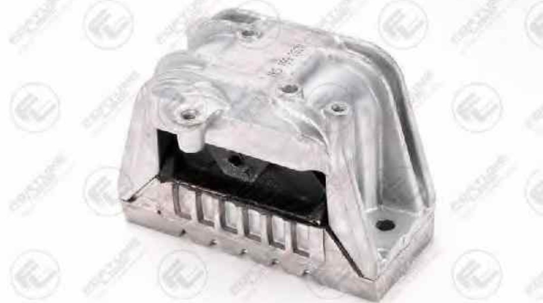 Suport motor VW TOURAN 1T1 1T2 FORTUNE LINE FZ90468