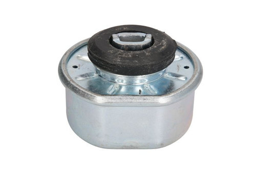 Suport motor VW TRANSPORTER IV bus (70XB, 70XC, 7DB, 7DW, 7DK) (1990 - 2003) REINHOCH RH11-0029 pies...