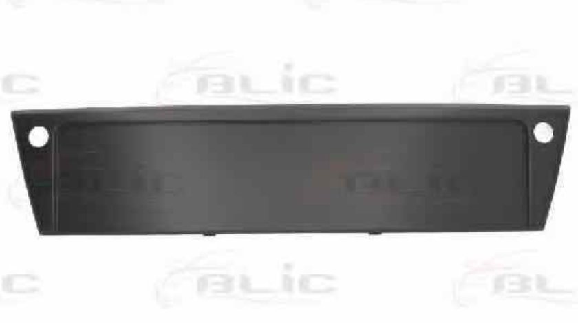 Suport numar de circulatie AUDI A6 Avant 4F5 C6 Producator BLIC 5513-00-0031921P