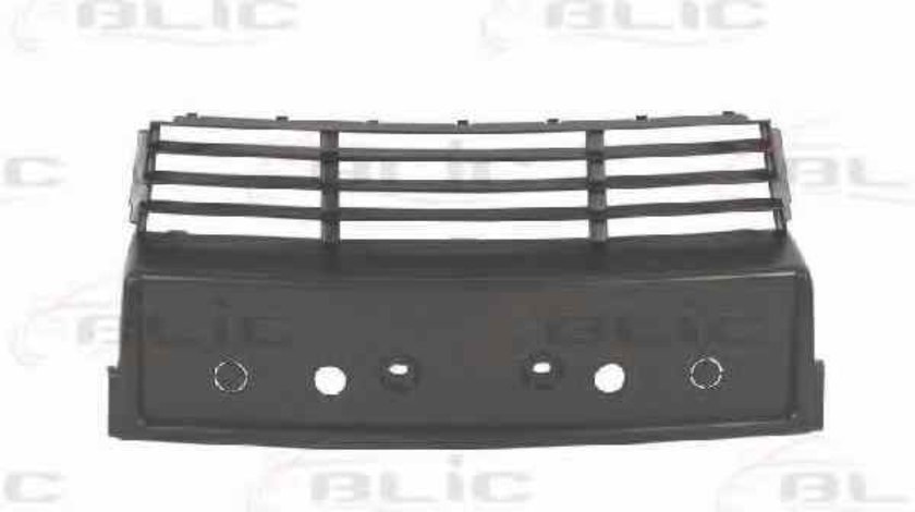 Suport numar de circulatie BMW 5 (E34) Producator BLIC 6509-01-0057920P