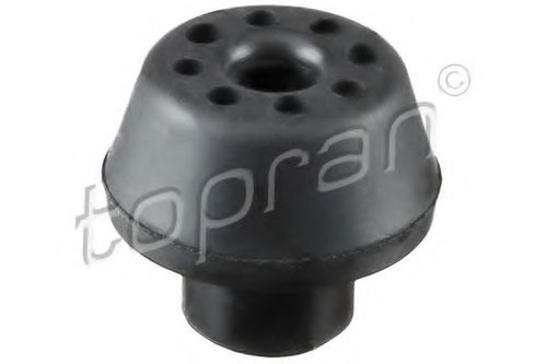 Suport radiator RENAULT MEGANE II Grandtour (KM0/1) (2003 - 2012) TOPRAN 700 813 piesa NOUA